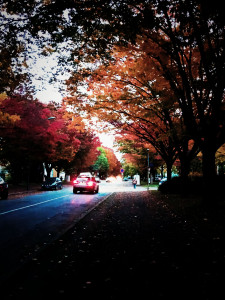 Photo de galerie - Prise unique 