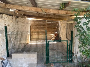 Photo de galerie - Super ? 