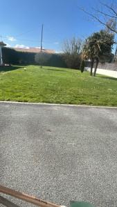 Photo de galerie - Avec le beau temps les tonte reprenne ?