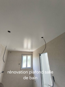 Photo de galerie - Rénovation plafond de salle de bain
