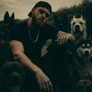 Photo de galerie - Wolfamily Dog