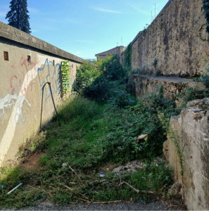 Photo de galerie - Tonte de pelouse - Débroussaillage