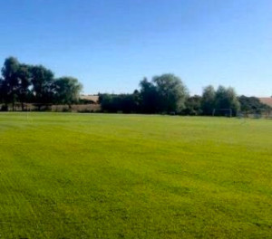 Photo de galerie - Embelli vos jardins pour un parfait été 
