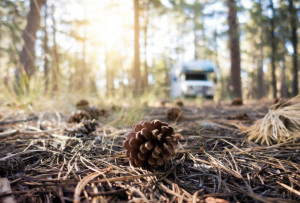 Photo de galerie - Camping-car dans une zone sauvage pendant le lever du soleil (2)