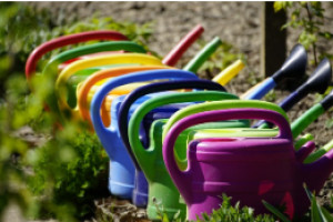 Photo de galerie - Service de Jardinage : entretien, arrosage, ramassage des feuilles.