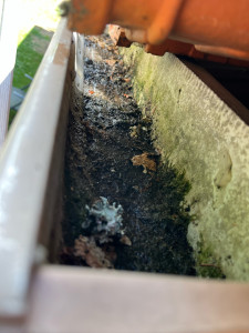 Photo de galerie - Couverture - Toiture