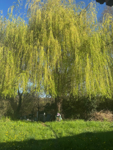 Photo de galerie - .