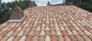 Photo de galerie - Nettoyage du toit, intervention fuite