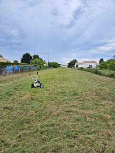 Photo de galerie - Fin de chantier de débrousaillage