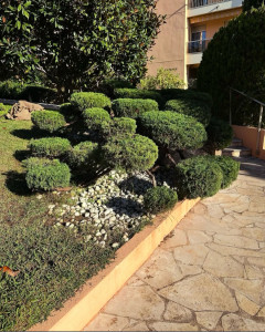 Photo de galerie - Taille