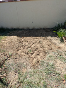 Photo de galerie - Elagage et coupe d'arbres