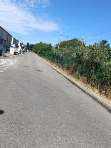 Photo de galerie - Tonte de pelouse - Débroussaillage