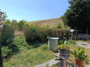 Photo de galerie - Haie après intervention sur terrain en pente légère 