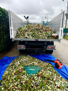 Photo de galerie - évacuation déchets verts 