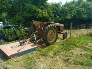 Photo de galerie - Passage d'un gyrobroyeur pour entretenir une prairie chez un agriculteur