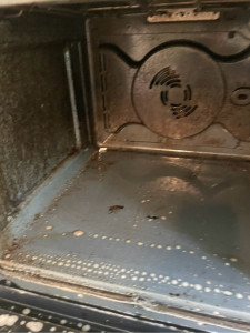 Photo de galerie - Dégraissage d’un four 