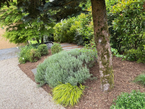 Photo de galerie - Entretien création