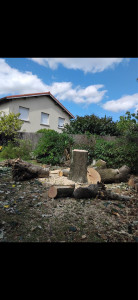 Photo de galerie - Elagage et coupe d'arbres