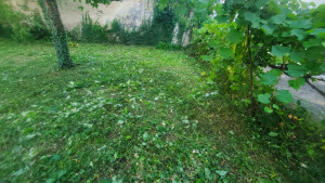 Photo de galerie - Tonte de pelouse - Débroussaillage