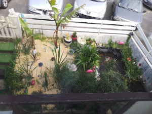 Photo de galerie - Amenagement d'un petit jardin avec bassin devant une maison 