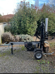 Photo de galerie - Elagage et coupe d'arbres