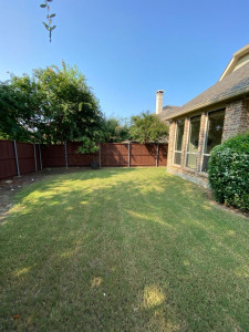 Photo de galerie - Tonte de pelouse 