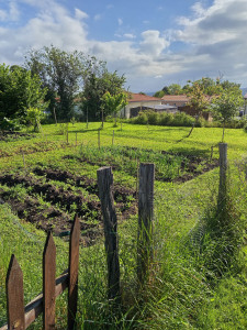 Photo de galerie - Jardinage 