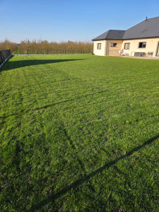 Photo de galerie - Tonte de pelouse - Débroussaillage