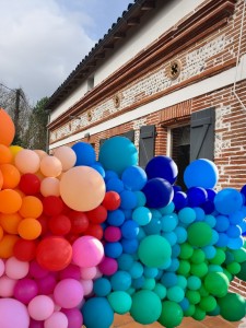 Photo de galerie - Mur de Ballons latex organique