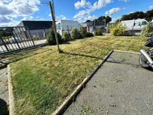 Photo de galerie - Tonte de pelouse , passage du fil autour des arbuste et mise en forme des arbuste 