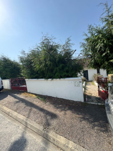 Photo de galerie - Elagage et coupe d'arbres