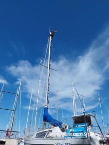 Photo de galerie - Entretien électrique 