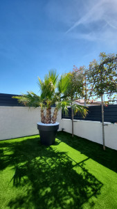 Photo de galerie - Aménagement de votre jardin à la demande .