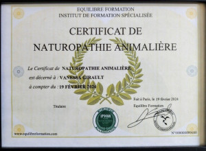 Photo de galerie - Certification 