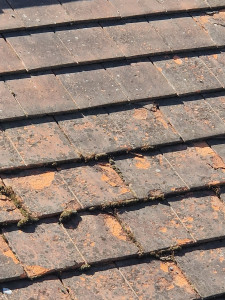 Photo de galerie - Tuiles paureuse 