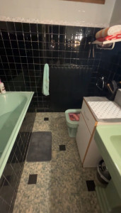 Photo de galerie - Ménage