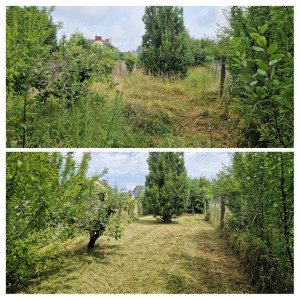 Photo de galerie - Paysagiste - Aménagement du jardin