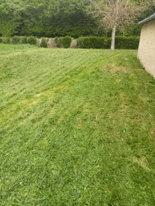 Photo de galerie - Apres