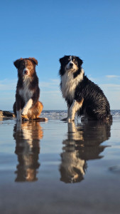 Photo de galerie - On a la chance d'avoir la mer ?