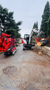 Photo de galerie - Coupe + Évacuation de Bois 