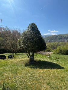 Photo de galerie - Taille en forme 