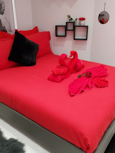 Photo de galerie - Menage et grand menage