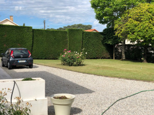 Photo de galerie - Voici le résultat d’un chantier de tonte de pelouse à l’origine hauteur 50cm 
