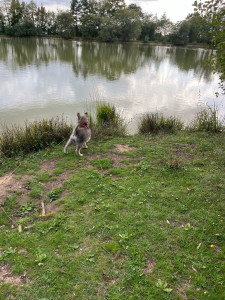 Photo de galerie - Promenade