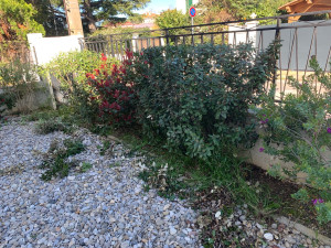 Photo de galerie - Entretien 