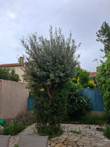 Photo de galerie - Avant