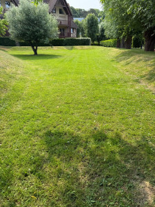 Photo de galerie - Entretien 