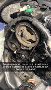 Photo de galerie - Courroie de distribution Peugeot 207 1.6 HDI