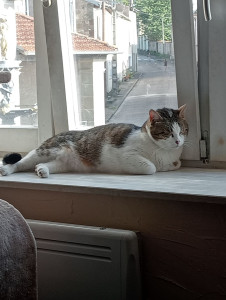 Photo de galerie - J'ai gardé 15 jours, les propriétaires étaient 

 très contents 
