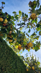 Photo de galerie - Je suis autonome actif et sérieuse 